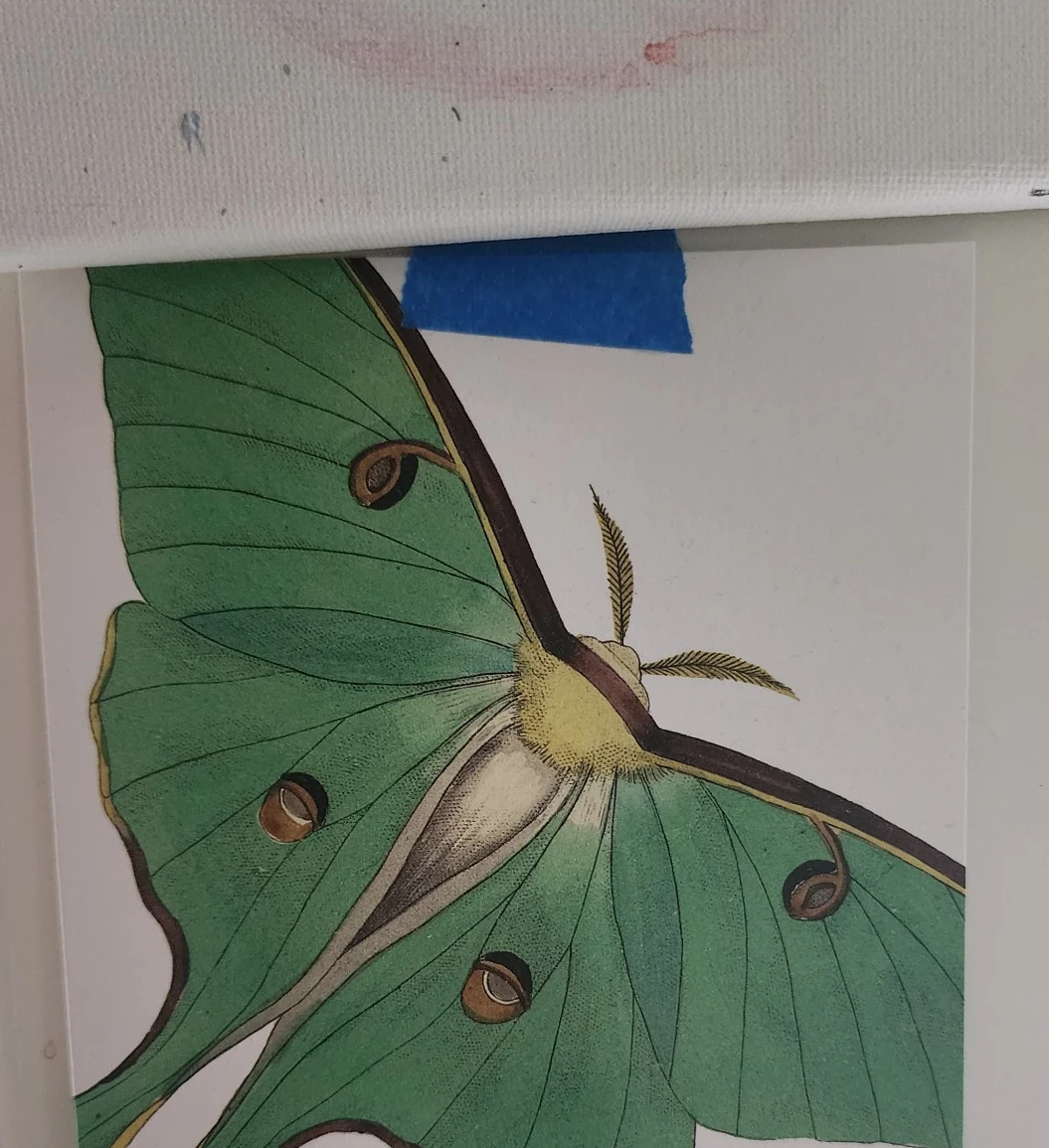 Photograph of a painting shared from Cindy’s collection